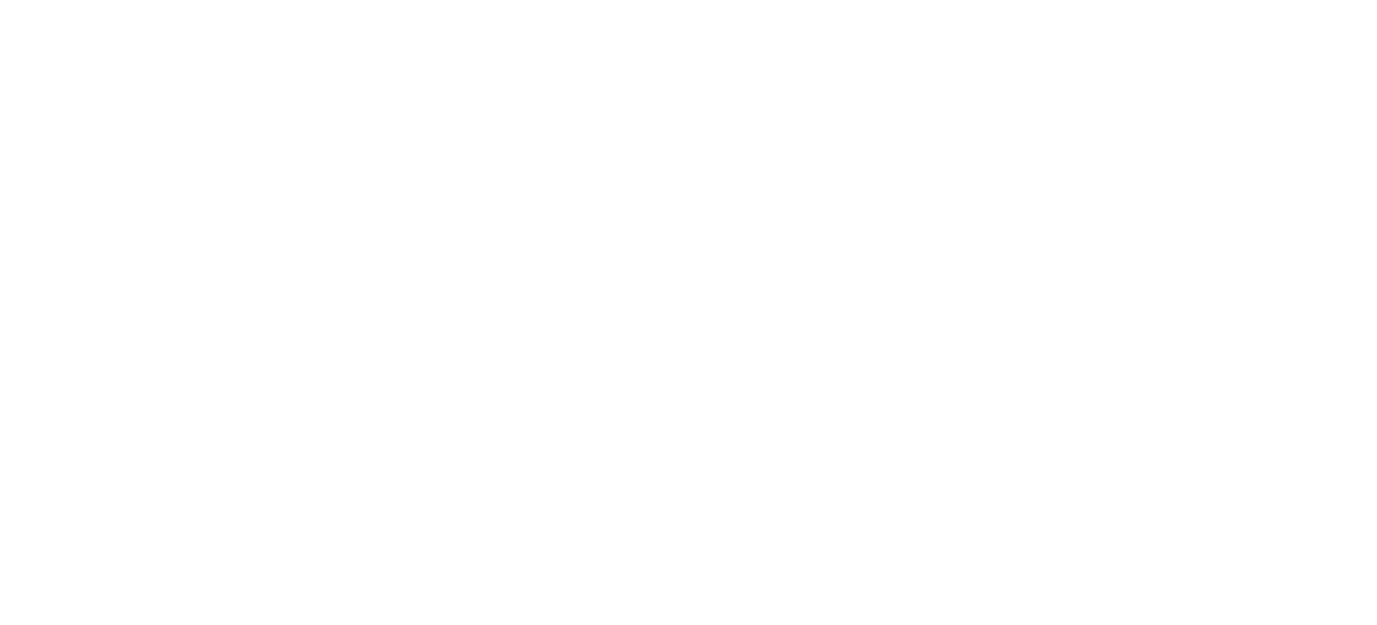logo-11