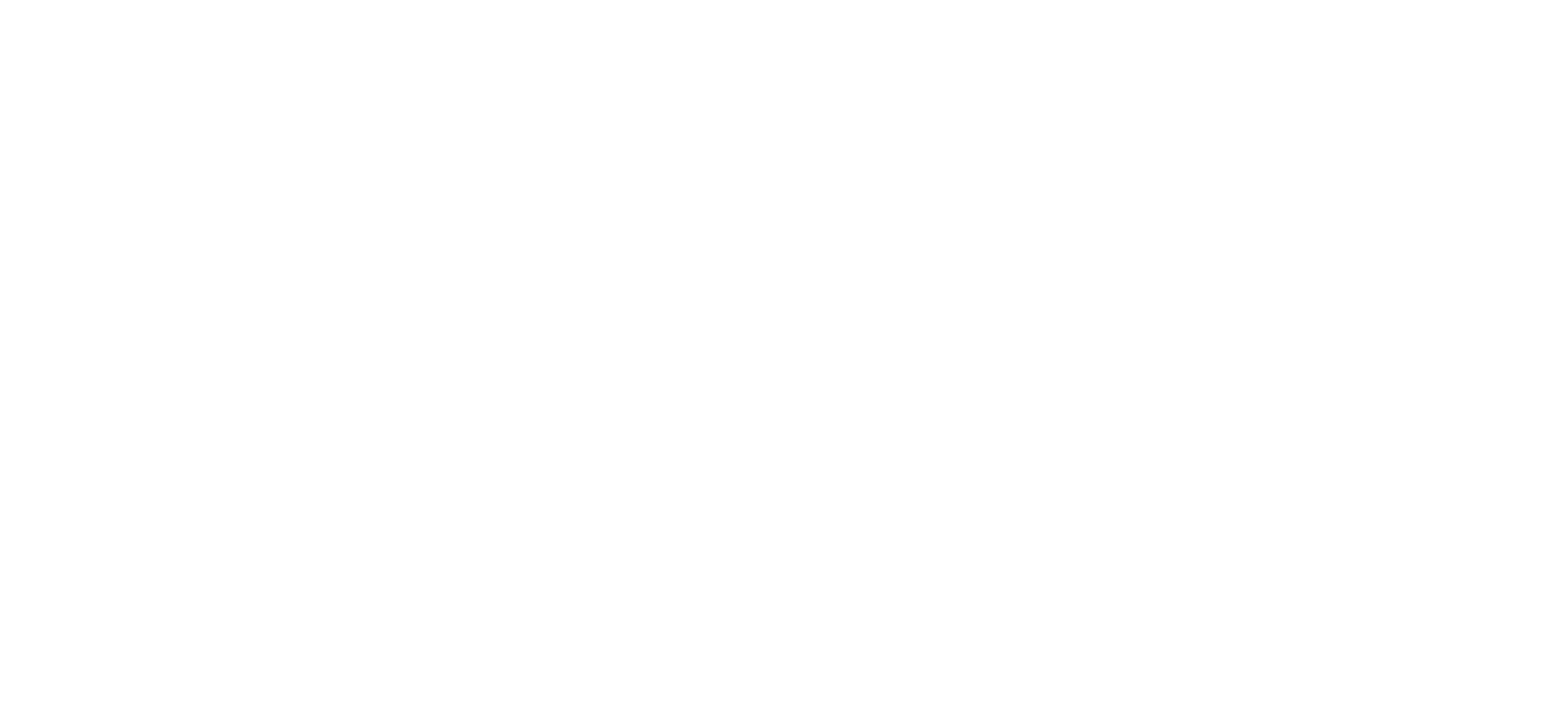 logo-33-01-01-01